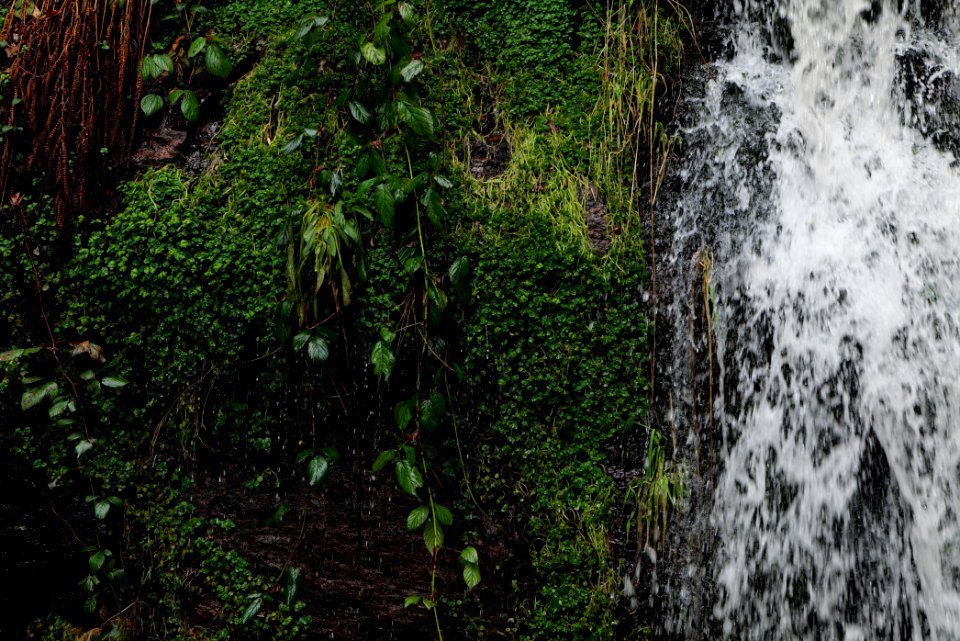Sankenbach Waterfalls 2020-03-12 79