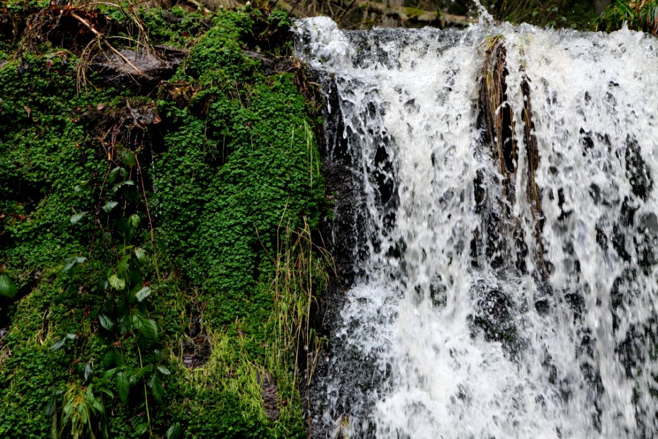 Sankenbach Waterfalls 2020-03-12 77