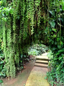 Sankyo Garden - DSC01303