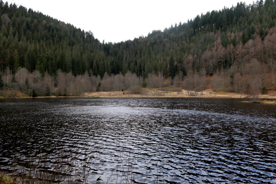 Sankenbachsee 2020-03-12 16