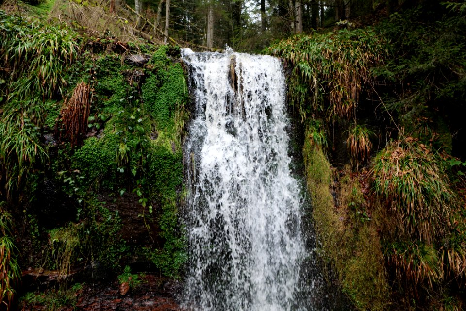 Sankenbach Waterfalls 2020-03-12 71