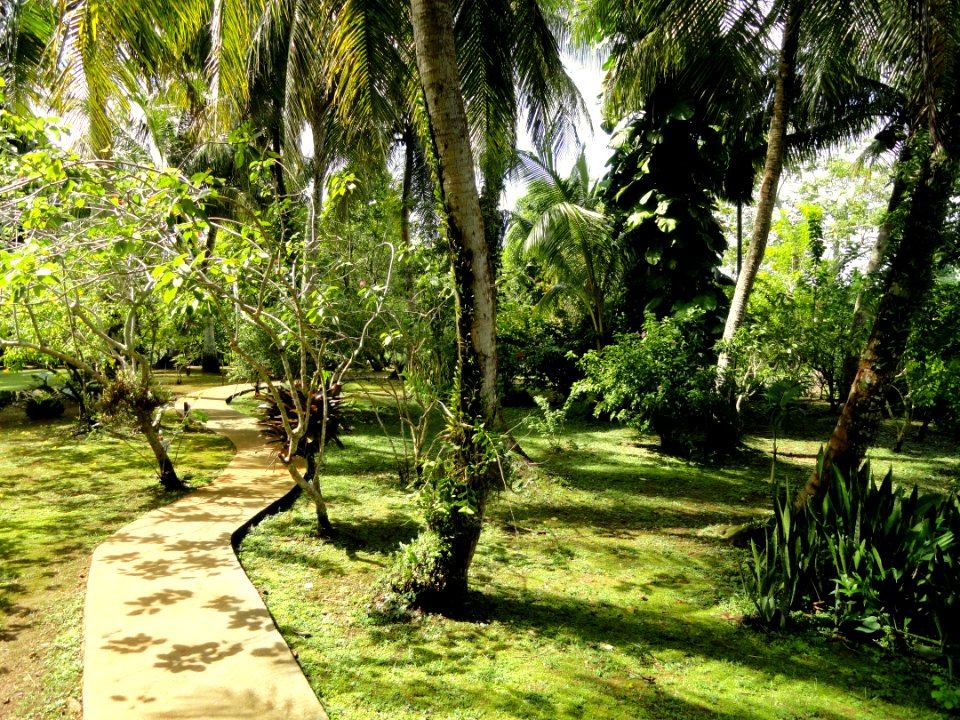 Sankyo Garden - DSC01219