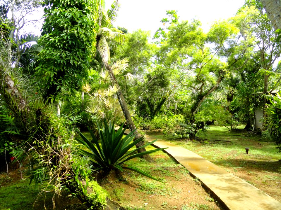 Sankyo Garden - DSC01210