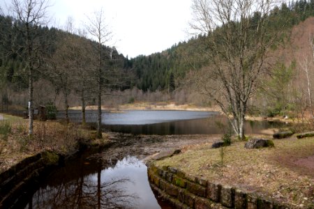 Sankenbachsee 2020-03-12 09