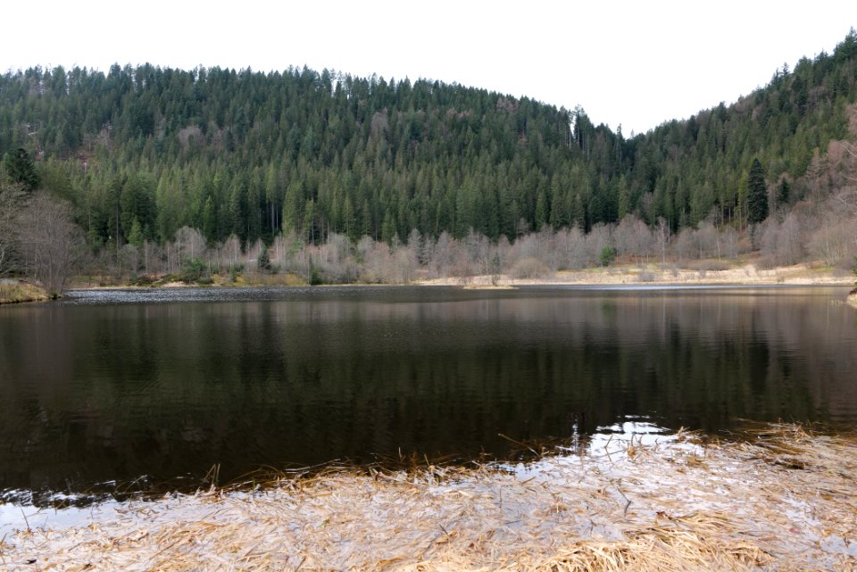 Sankenbachsee 2020-03-12 07