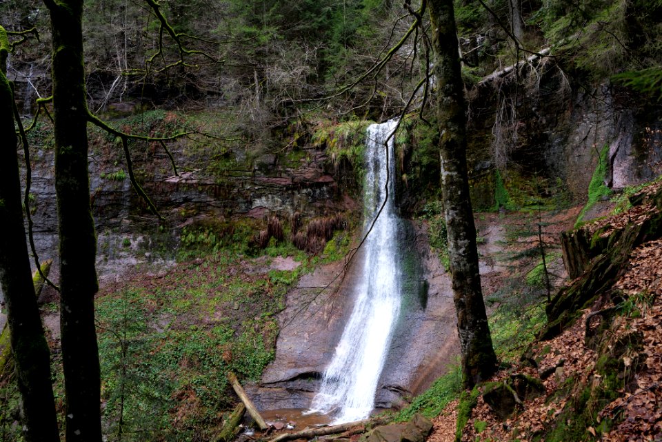 Sankenbach Waterfalls 2020-03-12 52