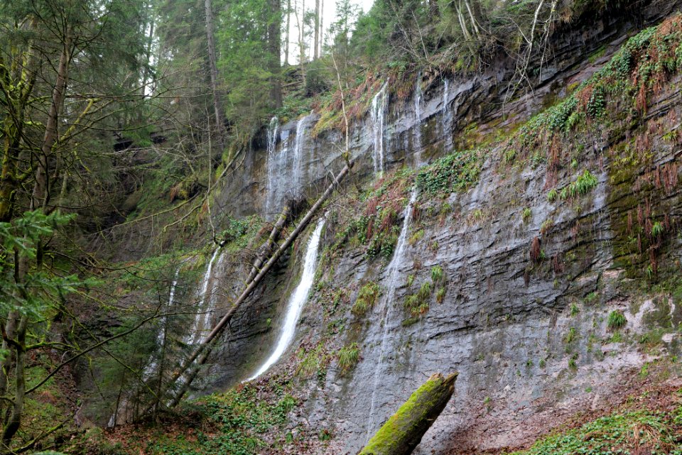 Sankenbach Waterfalls 2020-03-12 34