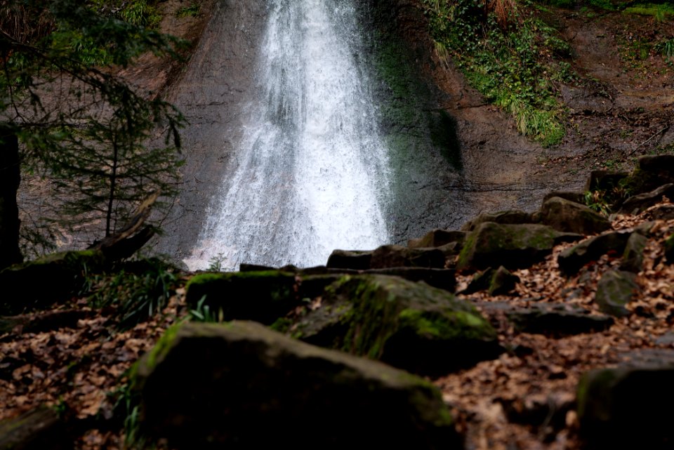 Sankenbach Waterfalls 2020-03-12 26