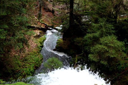 Sankenbach Waterfalls 2020-03-12 68