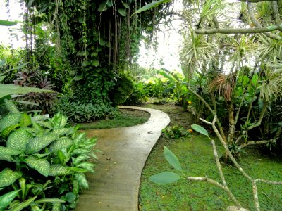 Sankyo Garden - DSC01265