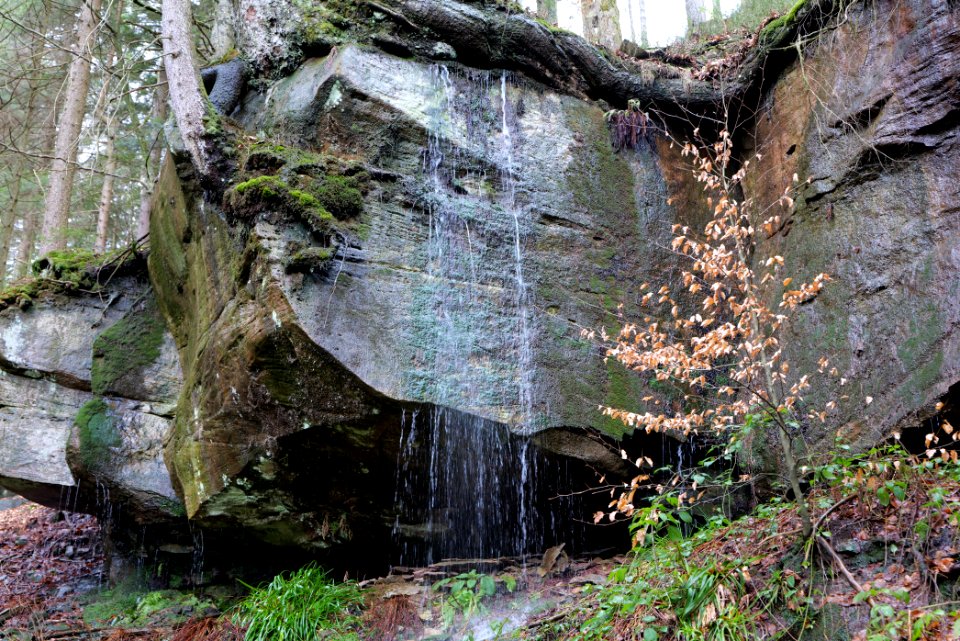 Sankenbach Waterfalls 2020-03-12 61