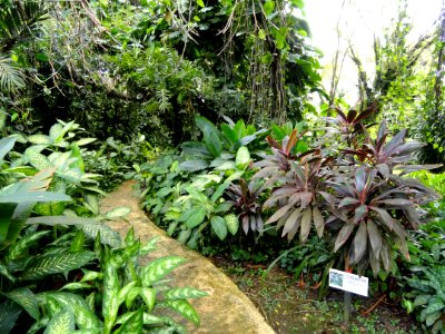 Sankyo Garden - DSC01266
