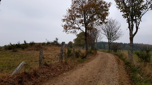 Sankt Vith-Hügelgräber Schinkelsknopf (2)