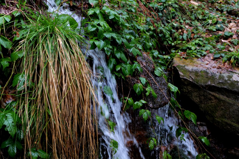 Sankenbach Waterfalls 2020-03-12 95