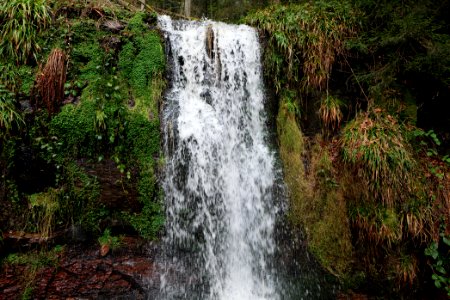 Sankenbach Waterfalls 2020-03-12 84