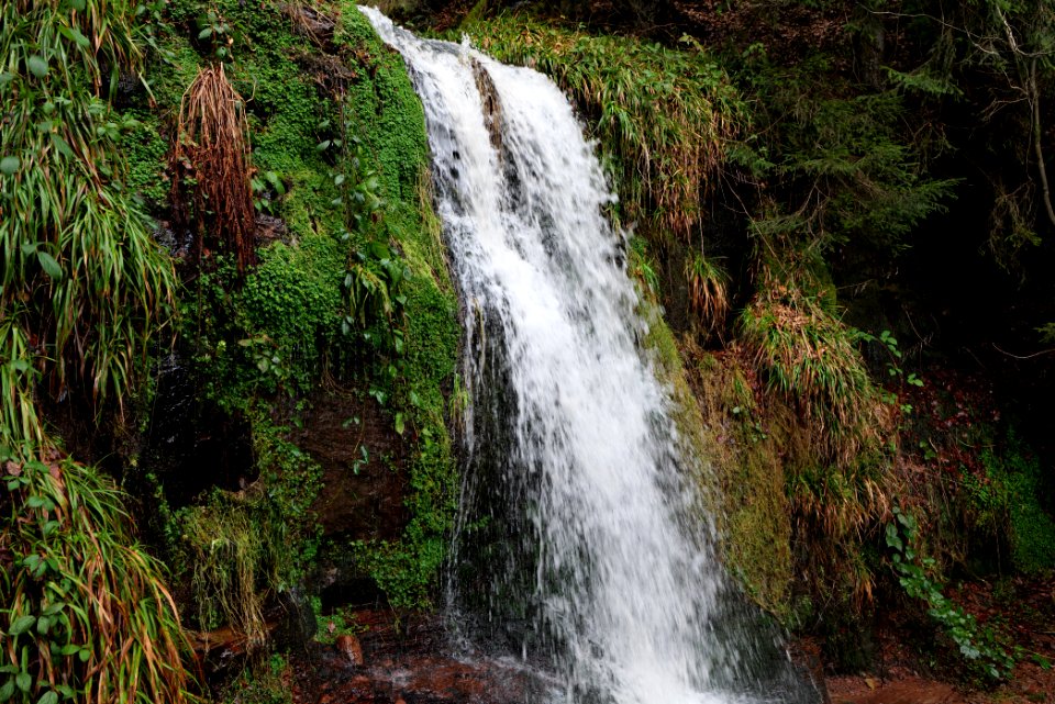 Sankenbach Waterfalls 2020-03-12 87
