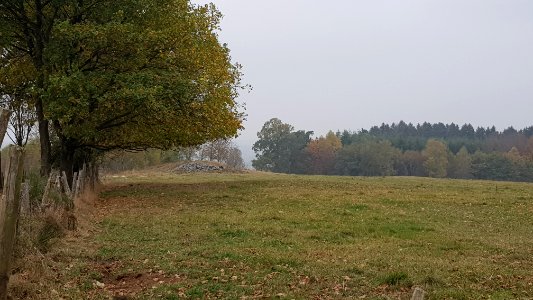 Sankt Vith-Hügelgräber Schinkelsknopf (8)