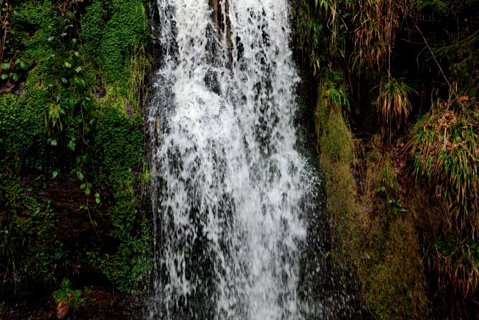 Sankenbach Waterfalls 2020-03-12 83