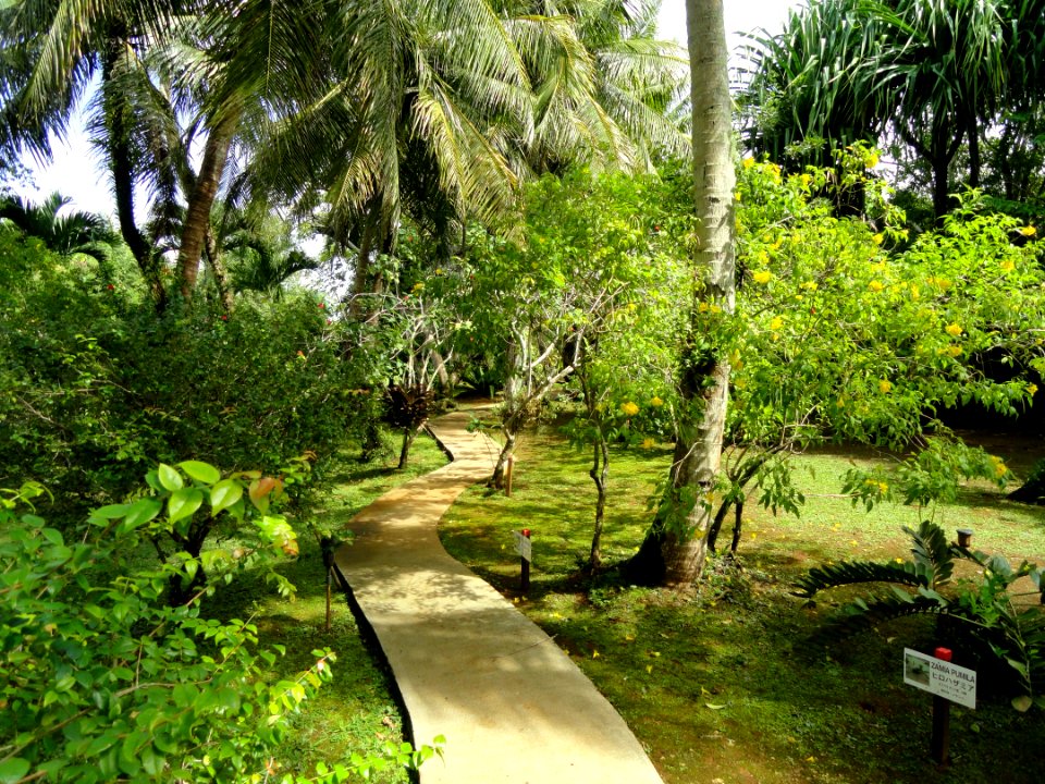 Sankyo Garden - DSC01232