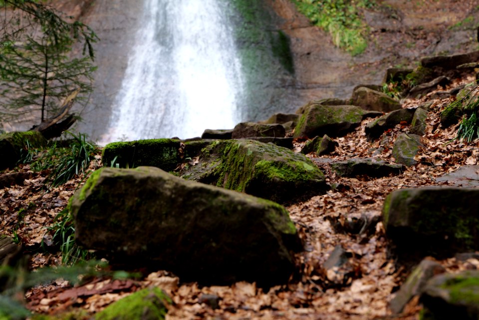 Sankenbach Waterfalls 2020-03-12 27