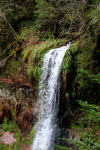 Sankenbach Waterfalls 2020-03-12 59