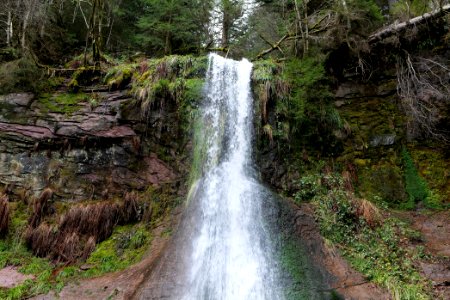 Sankenbach Waterfalls 2020-03-12 39