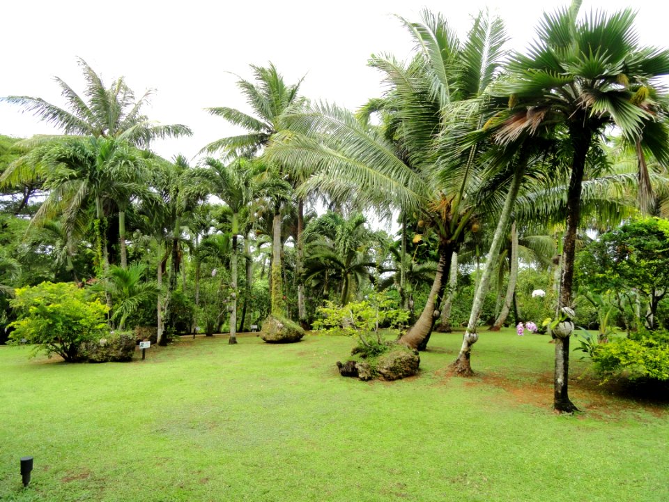Sankyo Garden - DSC01259