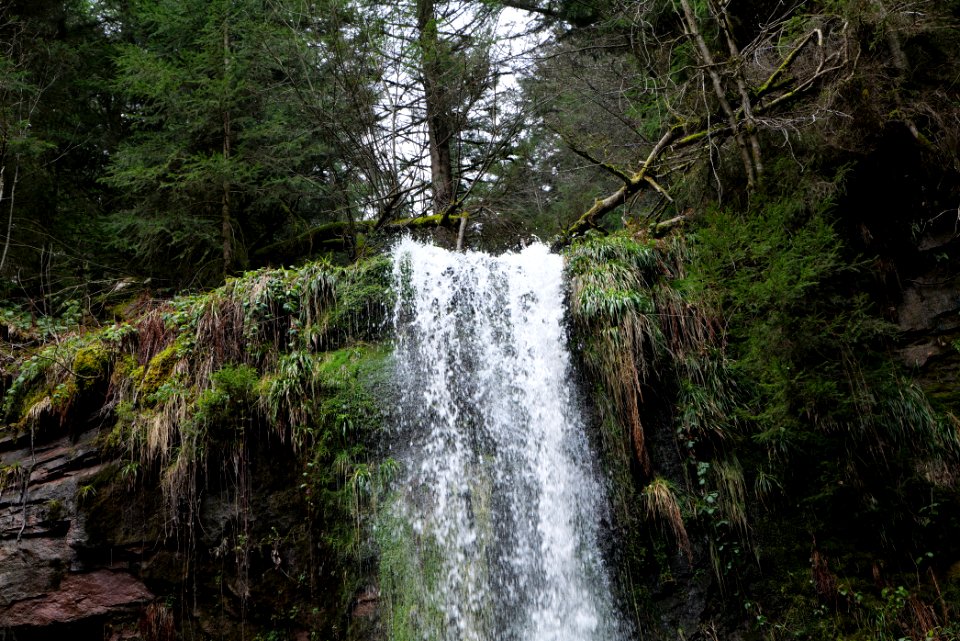 Sankenbach Waterfalls 2020-03-12 46
