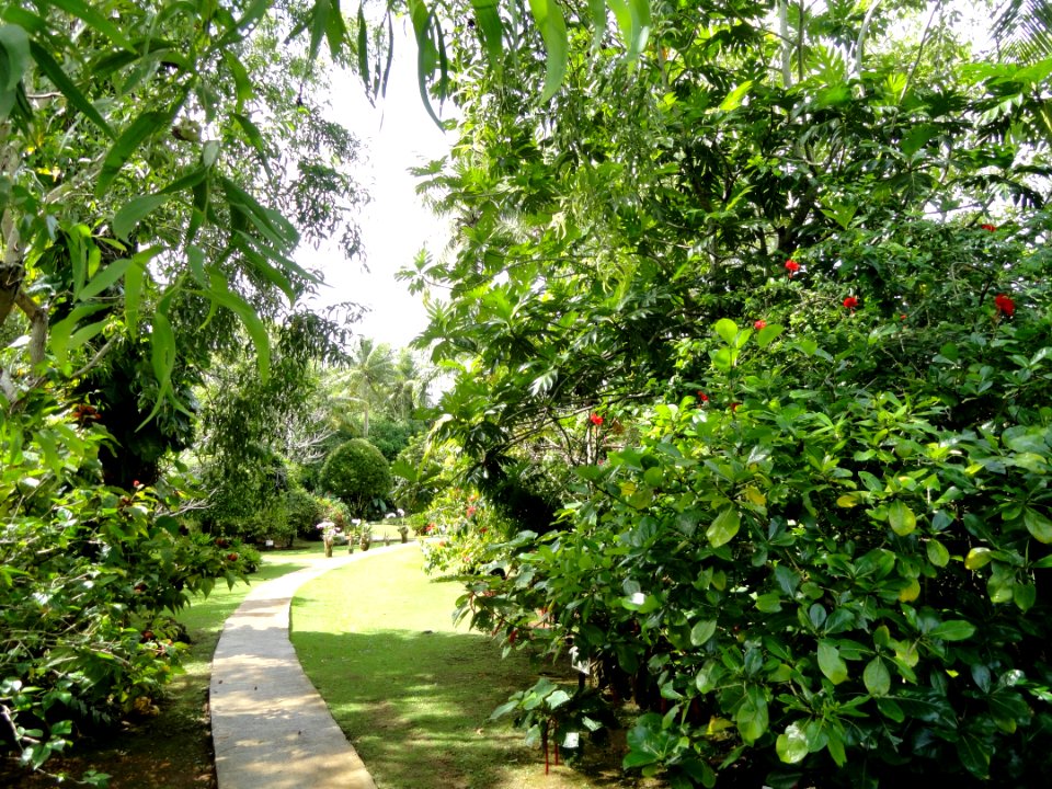 Sankyo Garden - DSC01162