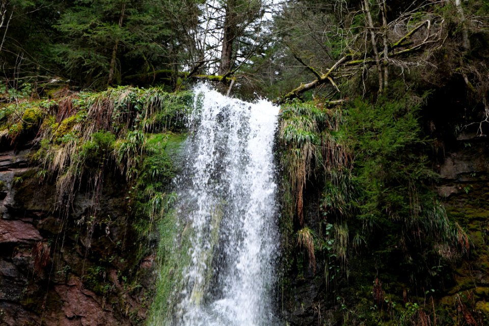 Sankenbach Waterfalls 2020-03-12 37