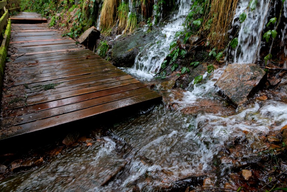 Sankenbach Waterfalls 2020-03-12 93