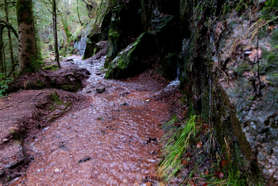 Sankenbach Waterfalls 2020-03-12 91