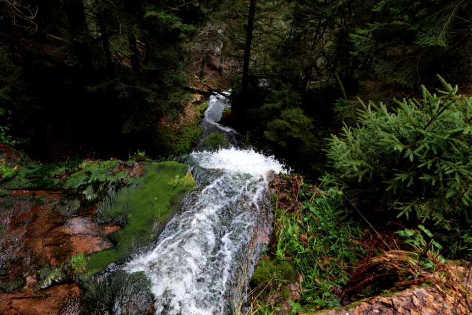Sankenbach Waterfalls 2020-03-12 67
