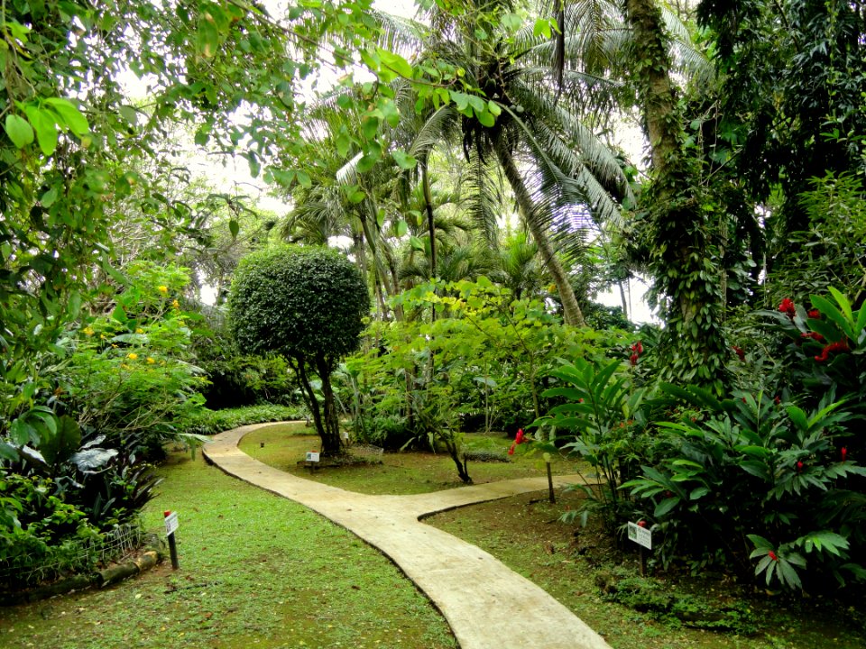 Sankyo Garden - DSC01298