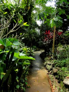 Sankyo Garden - DSC01177