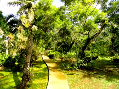 Sankyo Garden - DSC01212