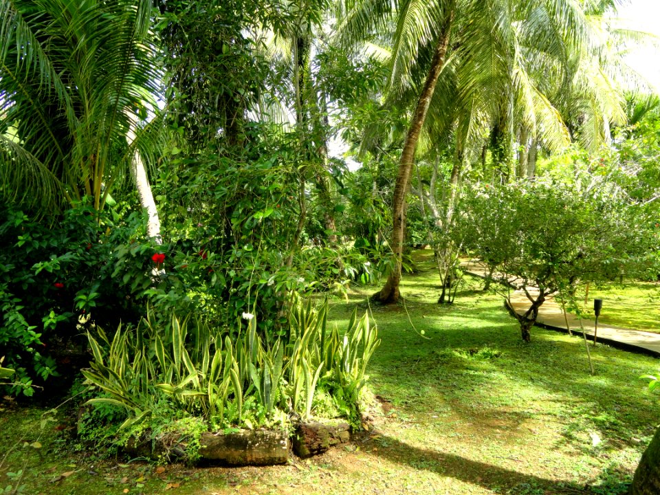Sankyo Garden - DSC01233