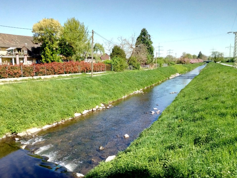 Sandbach, bei Sinzheim-Tiefenau