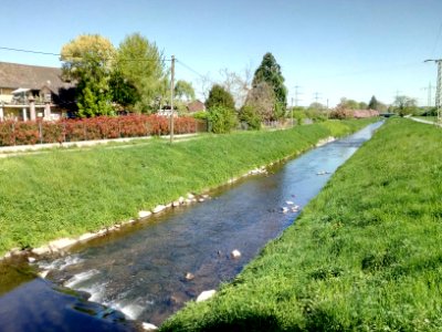 Sandbach, bei Sinzheim-Tiefenau