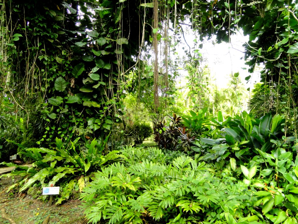 Sankyo Garden - DSC01275