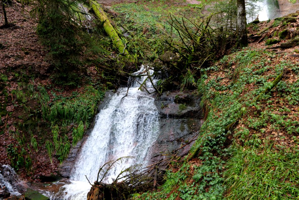 Sankenbach Waterfalls 2020-03-12 22