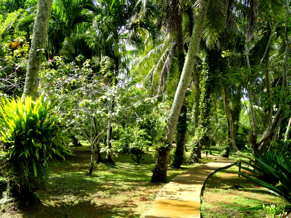Sankyo Garden - DSC01215