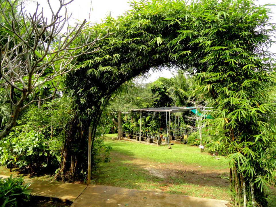Sankyo Garden - DSC01203