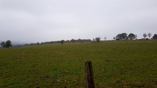 Sankt Vith-Hügelgräber Schinkelsknopf (9)