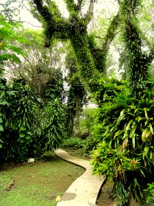 Sankyo Garden - DSC01280