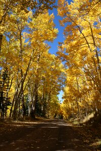 Fall nature season photo