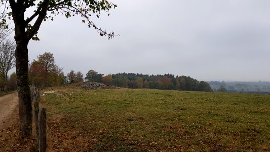 Sankt Vith-Hügelgräber Schinkelsknopf (7)