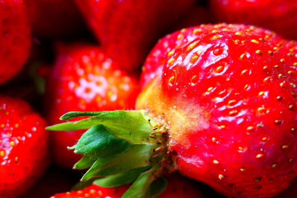 Sweet delicious eat