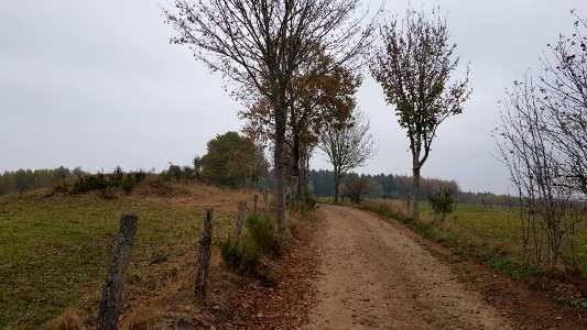 Sankt Vith-Hügelgräber Schinkelsknopf (1)