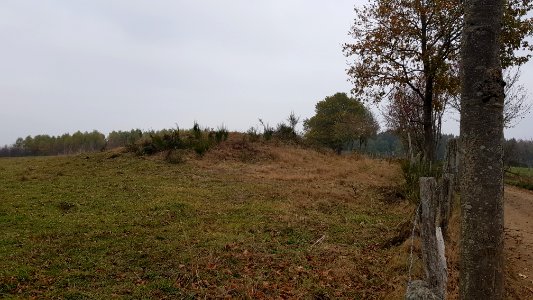 Sankt Vith-Hügelgräber Schinkelsknopf (3)